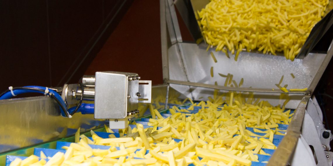 French fry processing at Bergia Frites, The Netherlands – automatically controlling and monitoring the product’s frozen condition at the freezer exit via sensor with the award-winning Callifreeze system. Gea Bergi