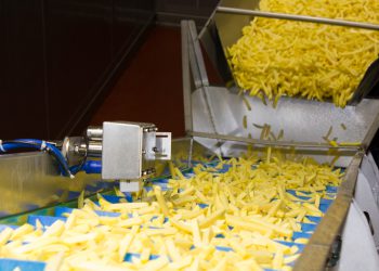French fry processing at Bergia Frites, The Netherlands – automatically controlling and monitoring the product’s frozen condition at the freezer exit via sensor with the award-winning Callifreeze system. Gea Bergi
