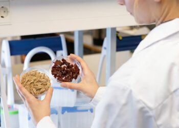 Attractive plant-based meat made in Finland