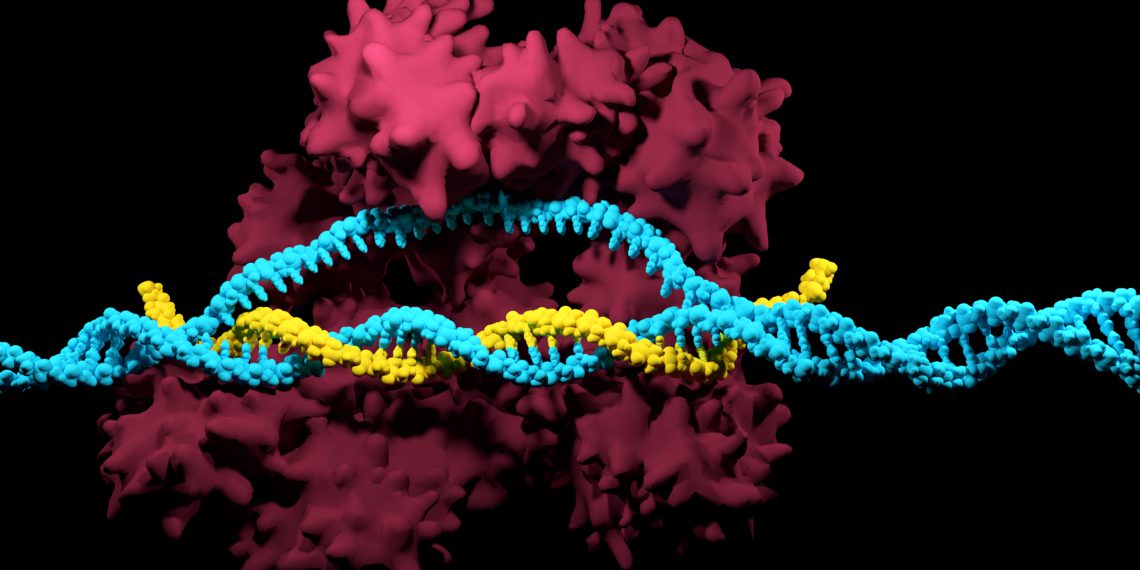 Merck Awarded Australian CRISPR Nickase Patent for Foundational Genome-Editing Technology