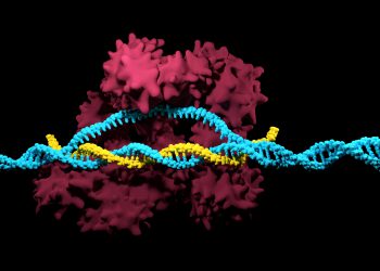 Merck Awarded Australian CRISPR Nickase Patent for Foundational Genome-Editing Technology
