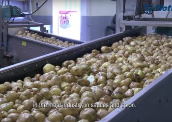 From Potato to Starch Flottweg Food