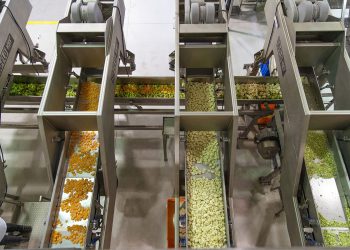La Huerta Grows with Key Technology’s Iso-Flo Vibratory Shakers