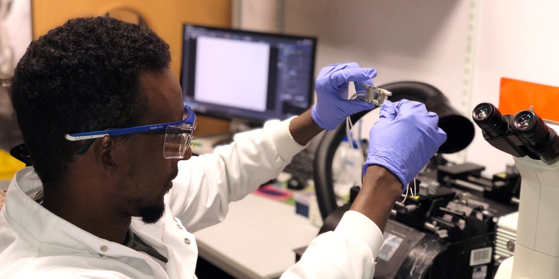 Fluorescent biosensors as tools for drug therapeutics