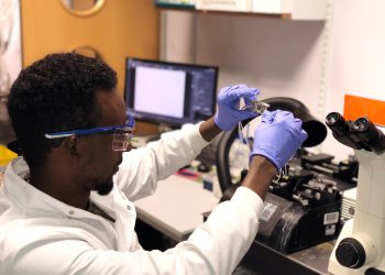 Fluorescent biosensors as tools for drug therapeutics