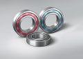 NSK Molded-Oil rolling bearings are used widely in food and beverage plants. Picture: NSK
