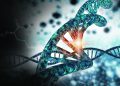 Merck and genOway Form CRISPR/Cas9 Strategic Alliance to Develop Rodent Models