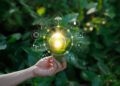 Top 2022 Global Sustainability Ratings